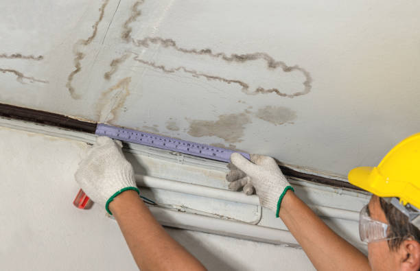 Reliable Structural Drying contractor in Augusta, NJ by Water Damage Irwin
